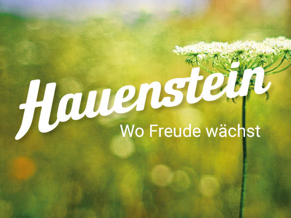 Hauenstein Logo mit Blume