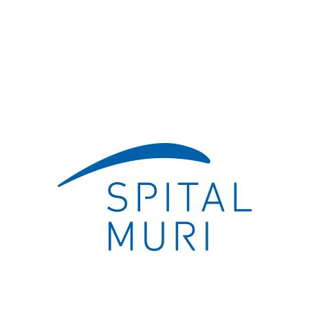 Spital Muri Thumbnail